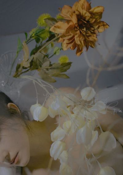 我们这一天第一季免费观看_DVD手机免费观看完整